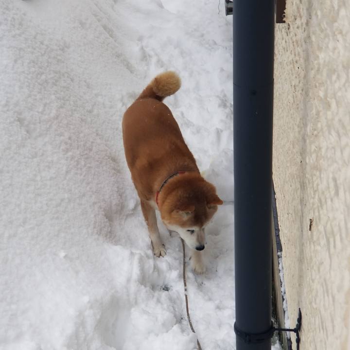 9eb78f7f c28c 4fcd ae9b 78b6e1e9b2c8 1739097116555