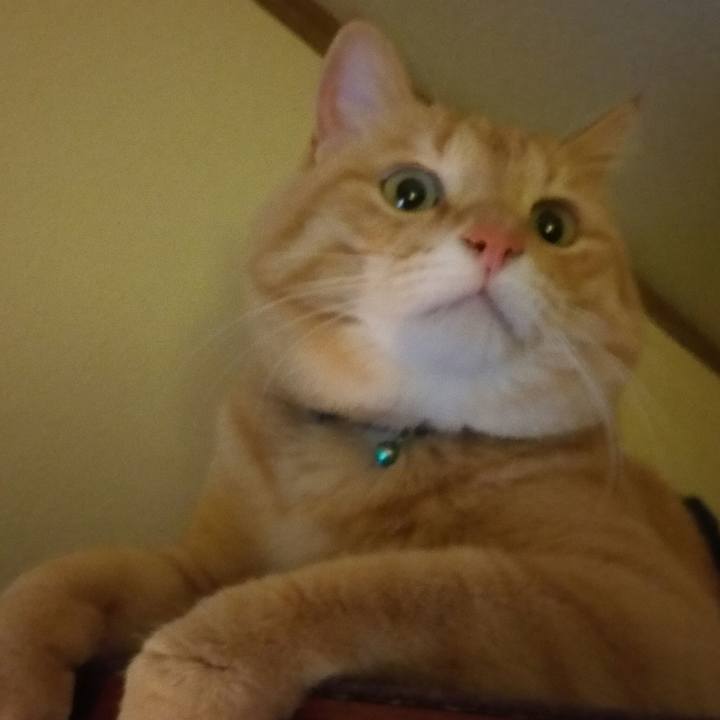 9eb79b9c f77f 4e4c a093 e1958b233328 1518844375519