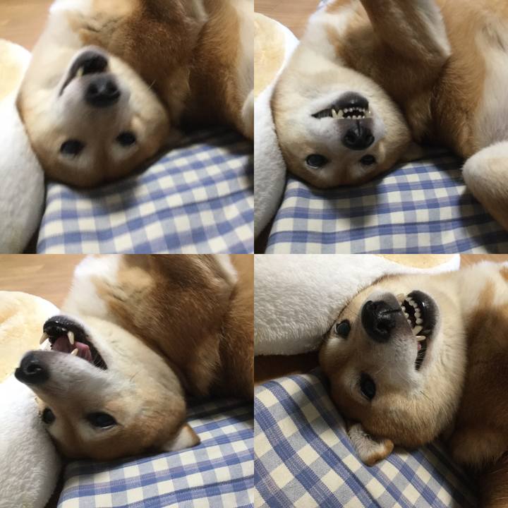 9eb79e80 bd63 473a 85a8 a39f0447839c 1576455944397