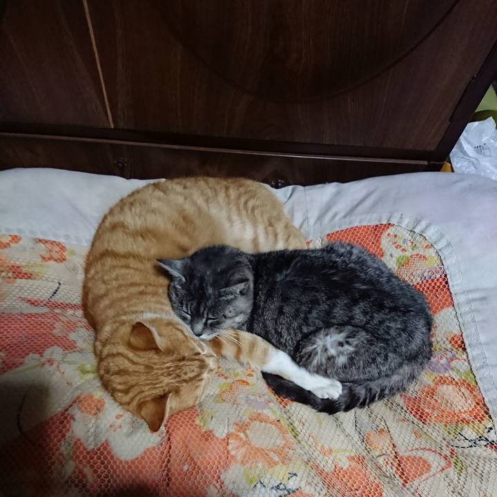 9eb7b6c0 ad5a 4adf b34f 549c15cfa1a8 1577710355494