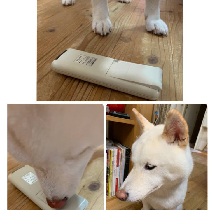 9eb80530 1f01 4467 9efc ebf221881799 1567214666669