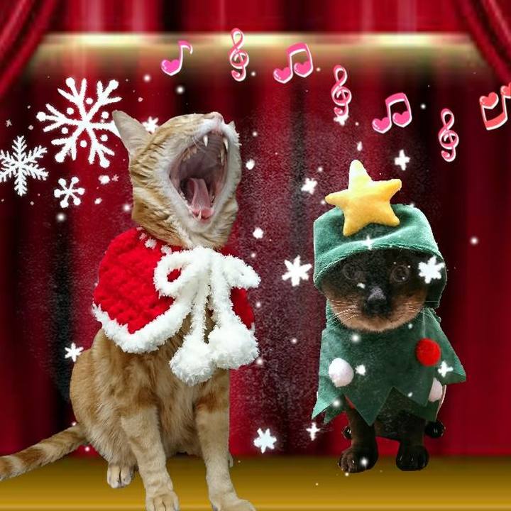 9eb83af1 7512 4b21 a4b7 4971ad343279 1544360387540