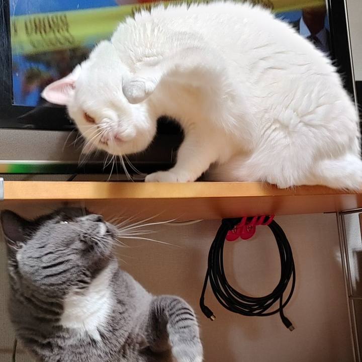 9eb843c2 a423 4a10 818d 0e6009904923 1628514250611