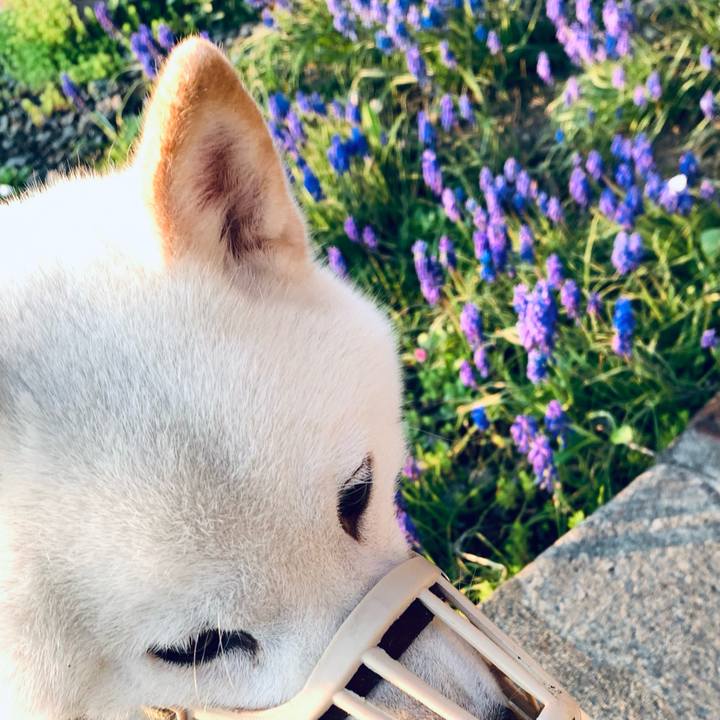 9eb865eb ea4c 408d a758 8f43e04b4a9b 1652645925299