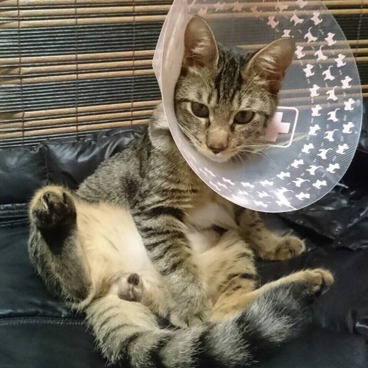 9eb8a28d 0437 44e6 adbb 90f13e817caf 1552914215277