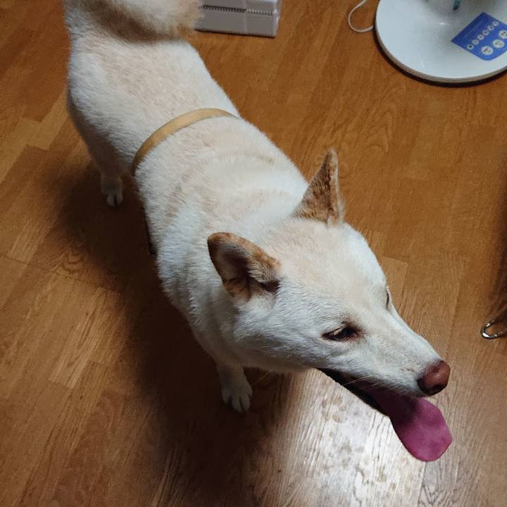 9eb8bad5 30f1 4973 8b9d fe1a73bd30f1 1563454271989