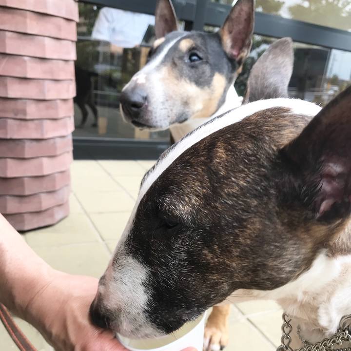 9eb8e05f ab2b 47cb bb06 3b92cc8bba55 1525076114824