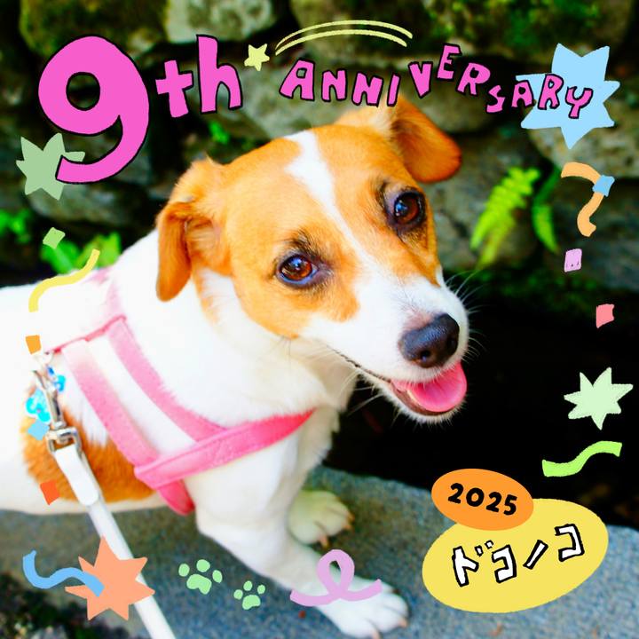 9eb914d8 1a68 42ad a74d fa02a2b546b1 1749395612827