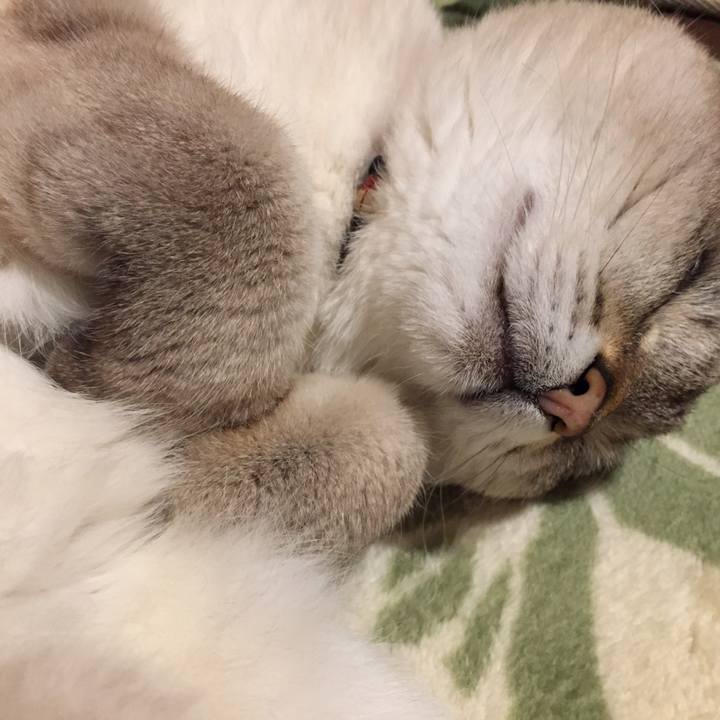 9eb91e54 afb0 48b1 b4f4 54194886d801 1587382508537