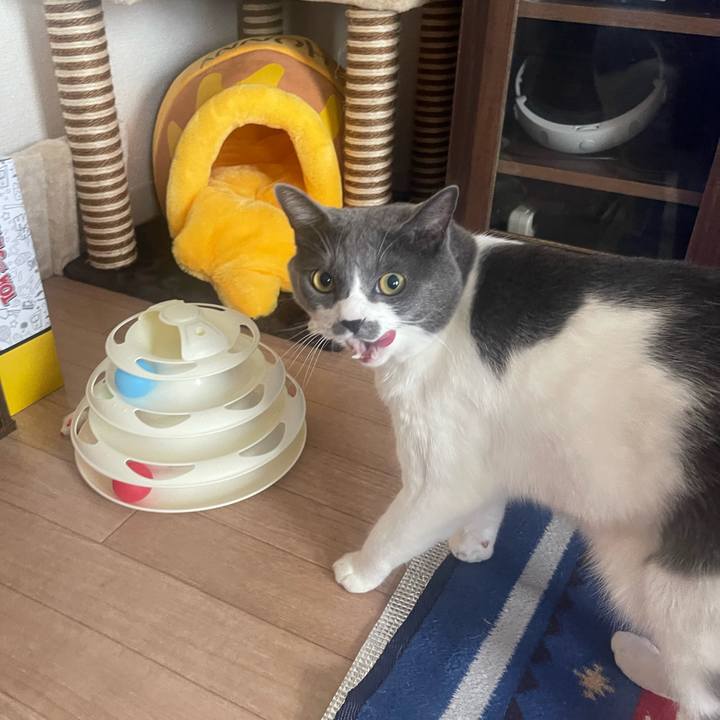 9eb92394 7fcf 4b02 876b 4b65c9bf36fd 1689898873206