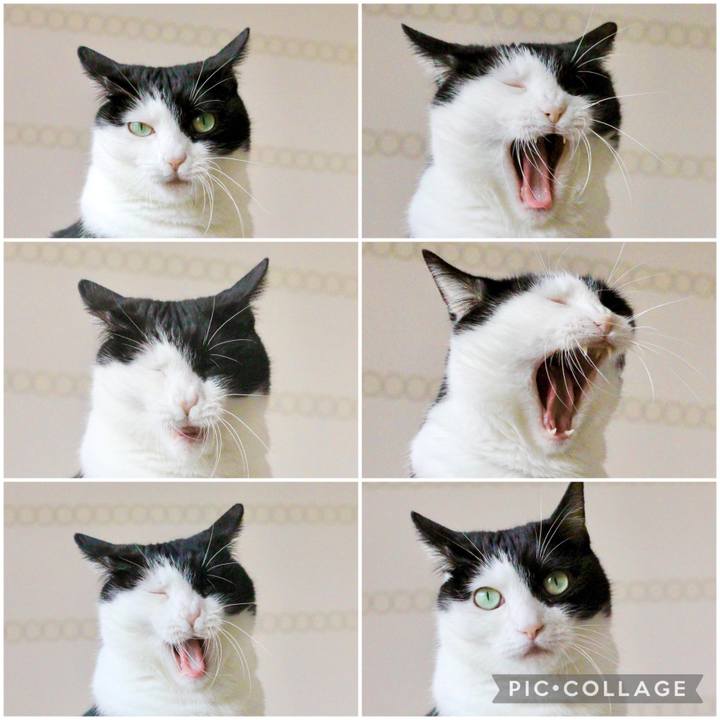 9eb92cae f058 4a46 bce2 14db4bfa49e6 1631106971265