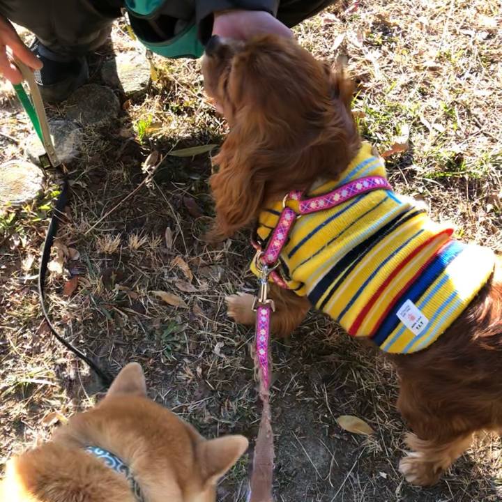 9eb96da3 3cc4 410b a38d 872c6feba290 1644107477008