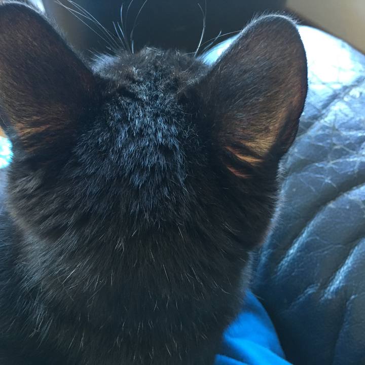 9eb97f0e a845 4967 ae17 2cc340b1bb97 1532843899671