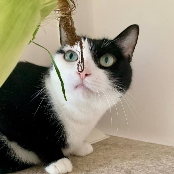 9eb9a668 62e8 4ae4 9bca d7047435fee1 1693225781514