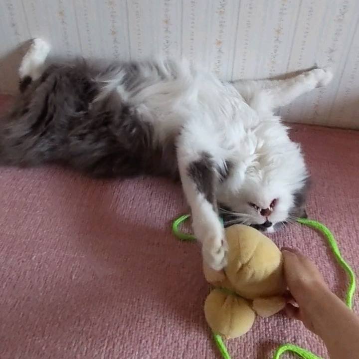 9eb9bb85 f61f 4691 a583 b1174209fb96 1653213183283