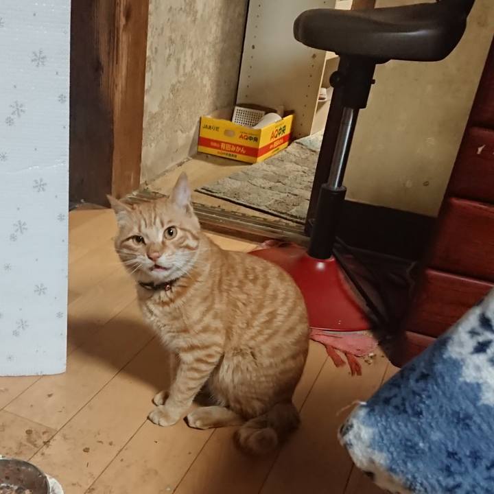 9eb9d3a7 3abe 493d 982c bde98bf53e0a 1649760083175