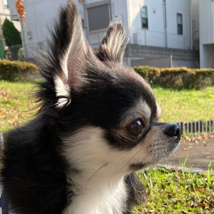 9eb9dd41 ee83 4fec 8493 ab1dddeeefbb 1670753742673