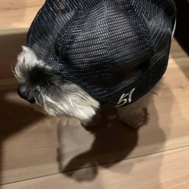 9eba1372 8314 4865 b6d2 7edc4684dfce 1623493900650