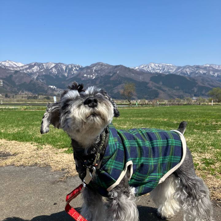 9eba1d06 5235 4926 977d ba63c233912c 1745131788319