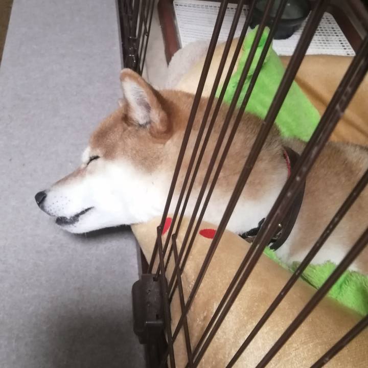 9eba2642 1f5e 4fb6 925c 8d0fd478a78b 1680967469318