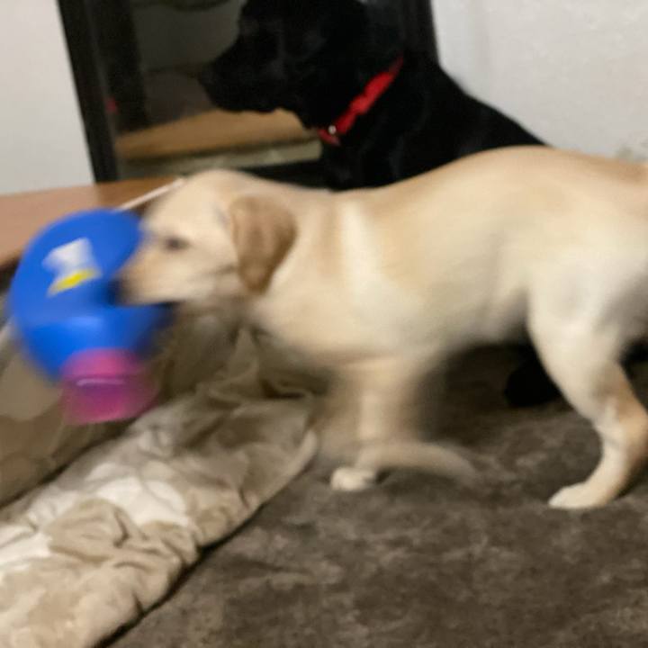 9eba50f1 f59f 4974 aacf 72786d74c91e 1614388998439