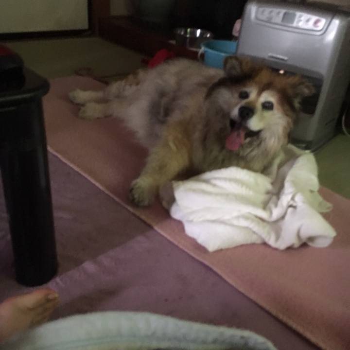 9eba5f59 3162 47a2 b9c3 f43dd14f7e5c 1558325537547