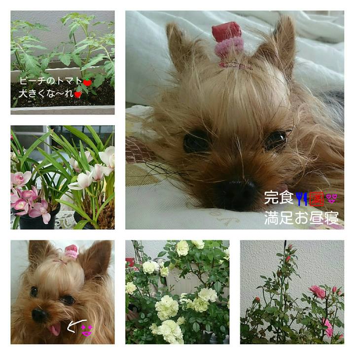 9eba8181 d411 41f3 bc05 0cde7e44251e 1527053924244