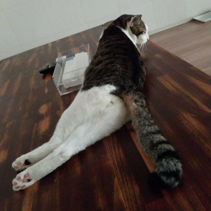 9ebab452 8072 42e7 846e fe5ae8efb1bd 1569966573627