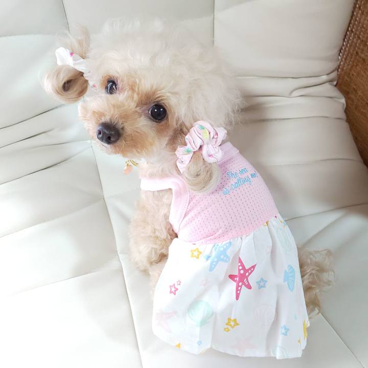 9ebab9d8 39a4 4a34 a553 40a56d5d92c7 1590148611835