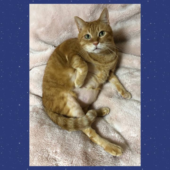 9ebad2f4 89f0 4dd8 ae7c 3f2a8e40f5ad 1702993284883