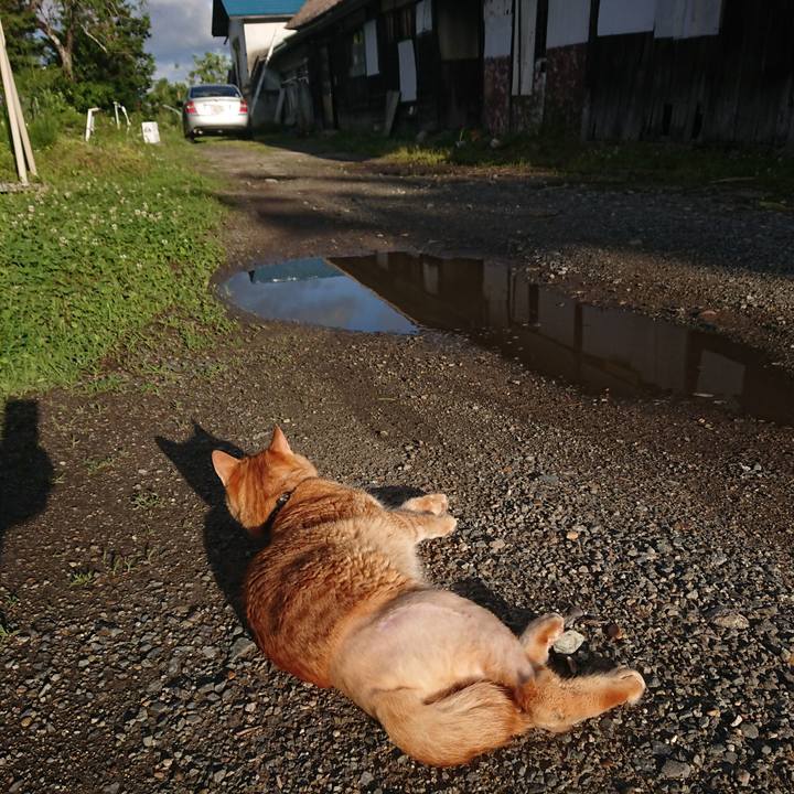 9ebadc61 752d 4c7f 9804 ff2abaeb22b4 1655069555552