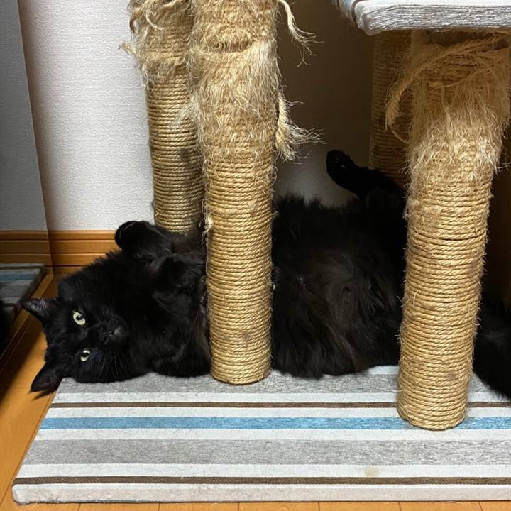 9ebae385 7ca5 4d94 8fd1 bb05e66d88e6 1589552052654