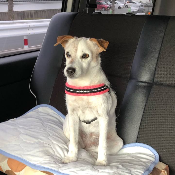 9ebb0dde b918 43d5 b82c 67c77edc7c0a 1563617291104