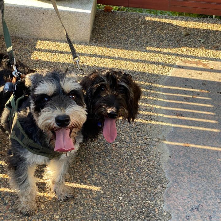 9ebb11c3 b248 4c75 b280 bc46c0a4d877 1597516396244