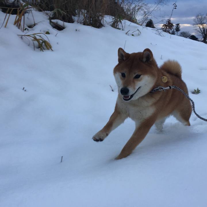 9ebb1ad5 7ec0 420d 9daa e70fcc094180 1546248325382