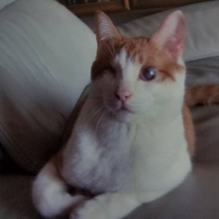 9ebb3b98 458a 4fba 9aa2 0095f4181e04 1540644329028