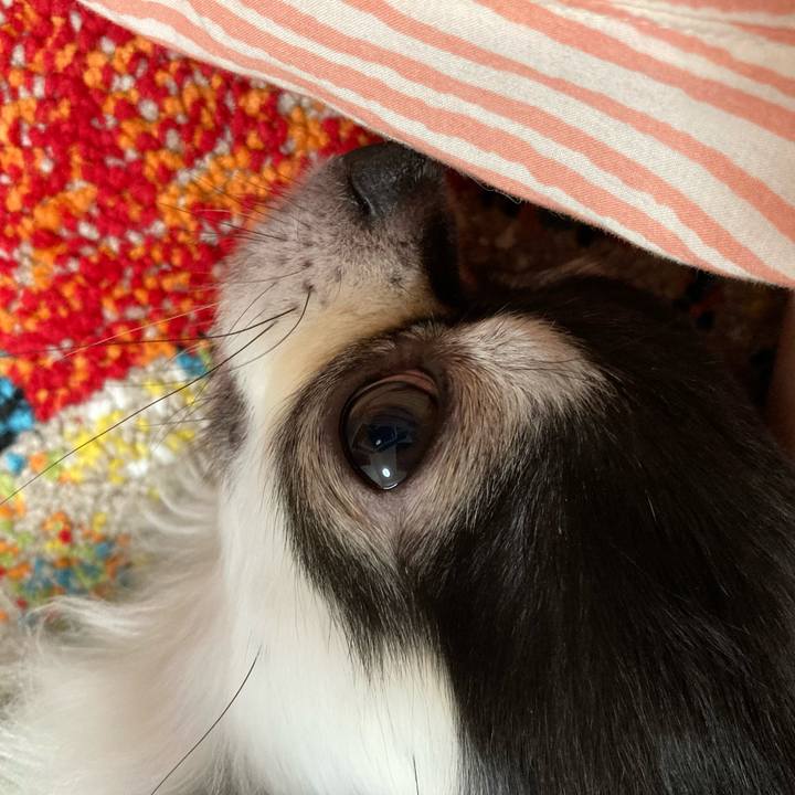 9ebb52e5 c810 4391 ac17 940cad806a33 1689606350545