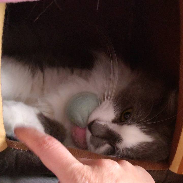 9ebb7bc3 019c 4c5c 98d5 a20463940cf3 1616884819035