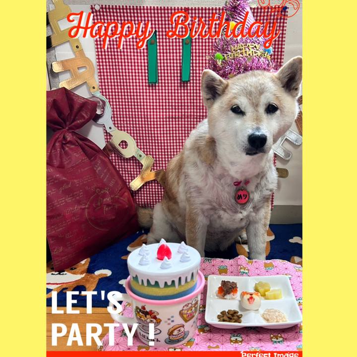 9ebb96ce c2ce 4203 8da0 9c06e5f83c46 1762786817325