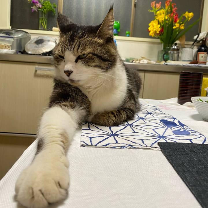 9ebbbdf1 7e50 45f6 88e1 eb4b68a4be41 1648003336663