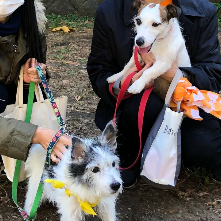 9ebbd449 91f3 4f59 bb8f dfc46599bf90 1606563592311