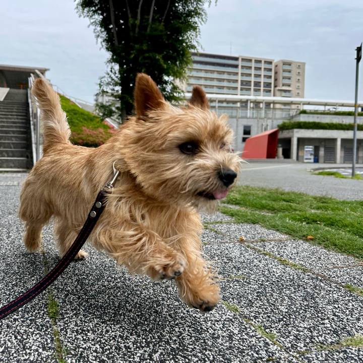 9ebbe01f 4699 4e33 aff3 16b556205602 1748060139498