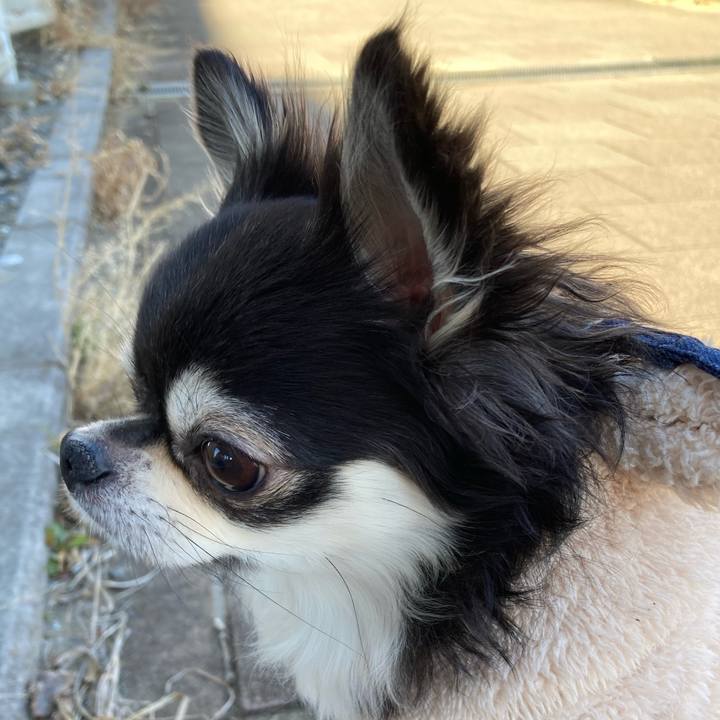 9ebbfb0e 23f3 4782 95f0 9e8f07937085 1675145316394