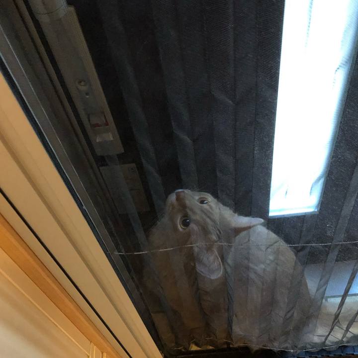 9ebc3928 29a6 4527 983b 542022b15bc8 1612319102990