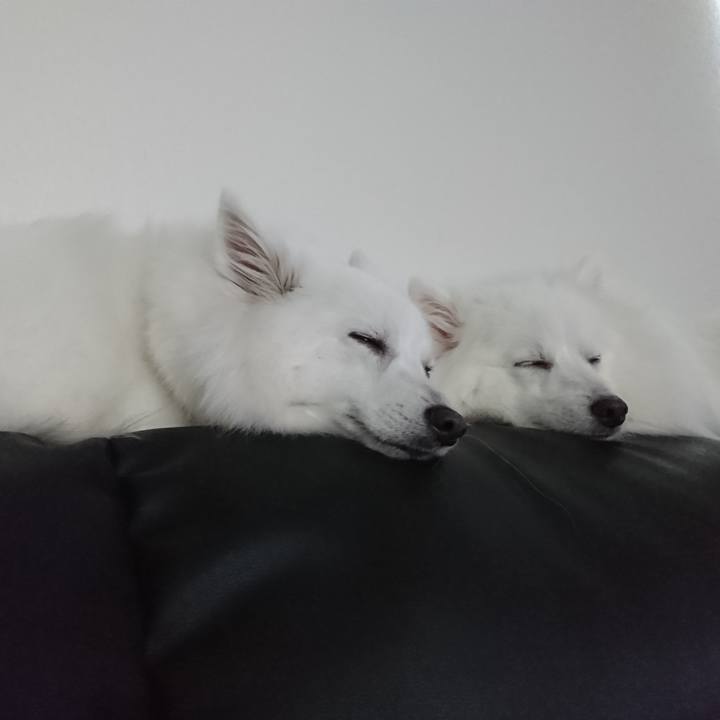 9ebc69ee 6590 4a75 b297 609e7a3880c6 1590655557530