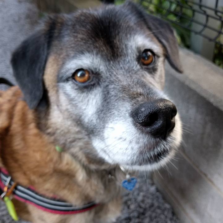 9ebc76b4 00fd 404c 9785 cff0e72a67a5 1542327297311