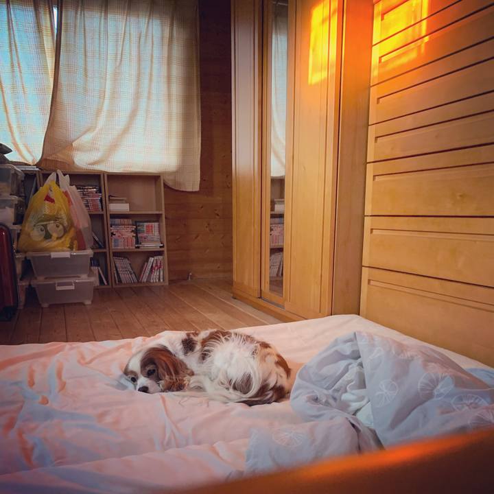 9ebc83dc ca18 490a 9d41 dea55d63c7f7 1584570359124