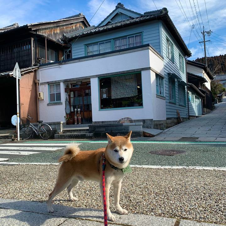 9ebc92f1 1315 47fc a0ec 26d59dcc977d 1674289188552