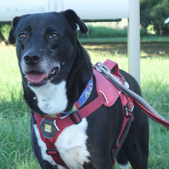 9ebc9d8f e6ae 44c7 95f8 72897f5eb861 1694997053608