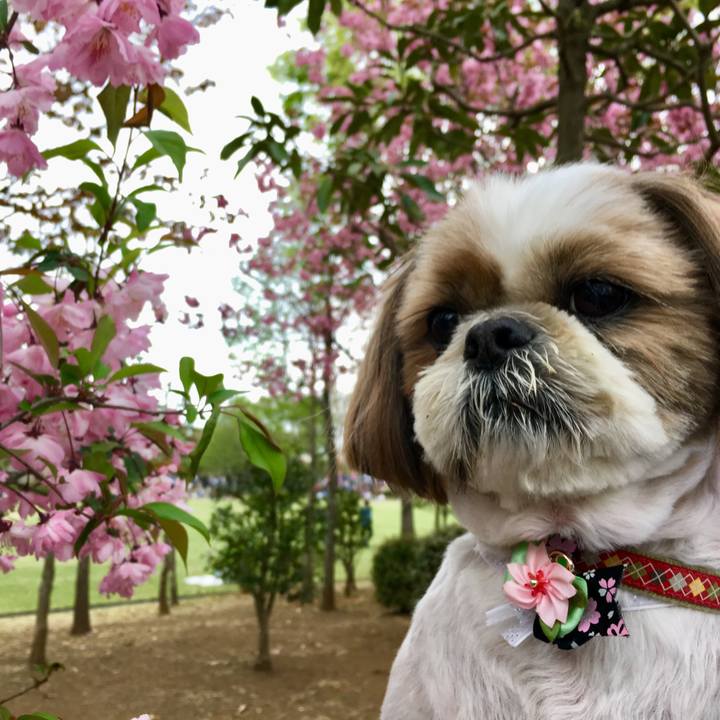 9ebcc327 4b2f 4150 aa67 b099d45f7a9d 1523072497889